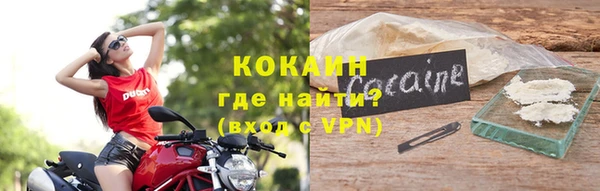 индика Алексин