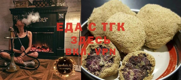 индика Алексин