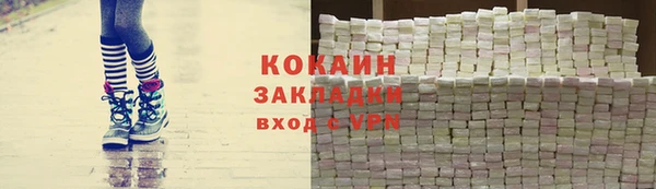 индика Алексин