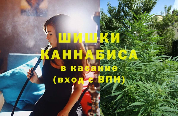 jwh Алзамай