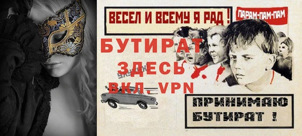 индика Алексин