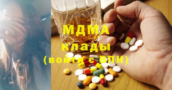 индика Алексин