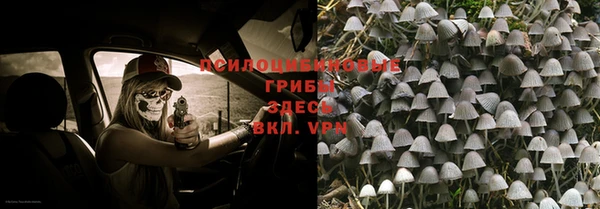 индика Алексин