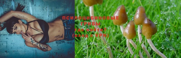 2c-b Алексеевка