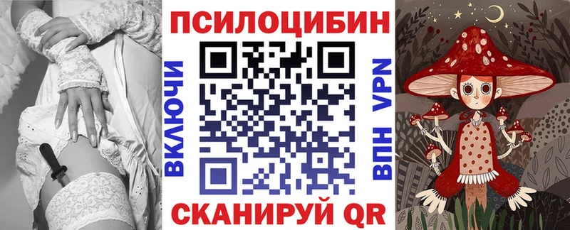 Псилоцибиновые грибы Psilocybe Зуевка